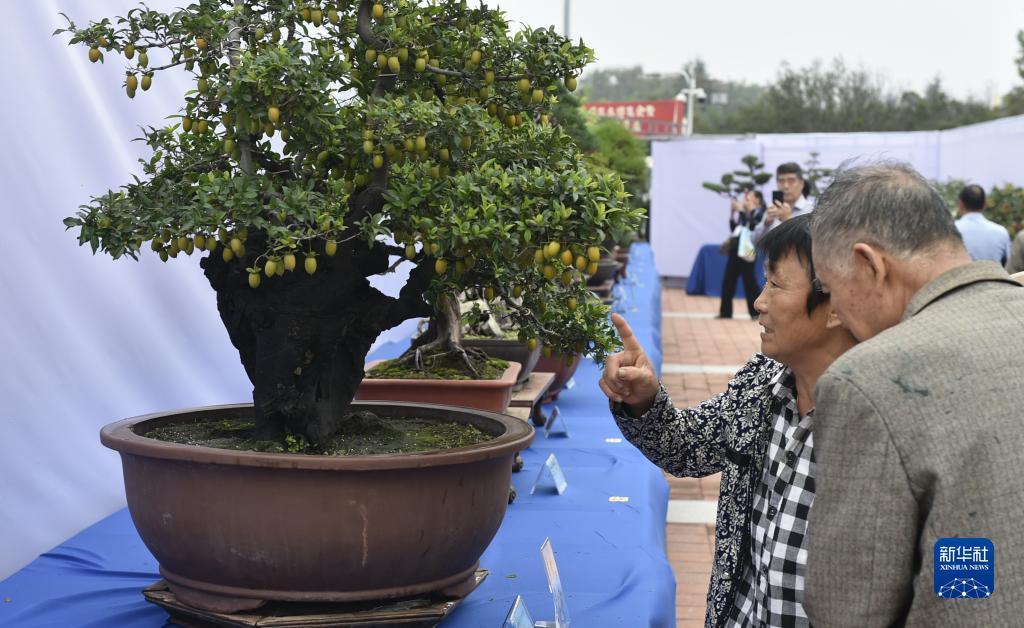 真钱平台入口